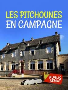 Public Sénat - Les Pitchounes en campagne