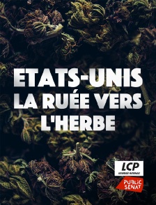 LCP Public Sénat - Etats-Unis : la ruée vers l'herbe