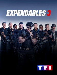 TF1 - Expendables 3