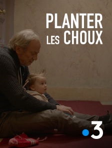 France 3 - Planter les choux