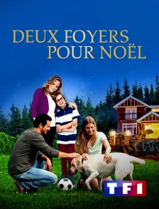 TF1 - Deux foyers pour Noël