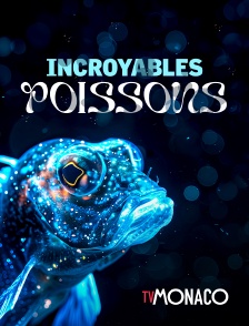 TV Monaco - Incroyables poissons