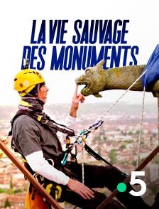 France 5 - La vie sauvage des monuments