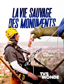 TV5MONDE - La vie sauvage des monuments