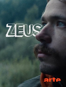 Arte - Zeus