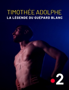 France 2 - Timothée Adolphe, la légende du guépard blanc