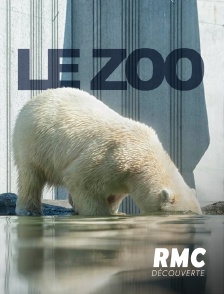 RMC Découverte - Le zoo