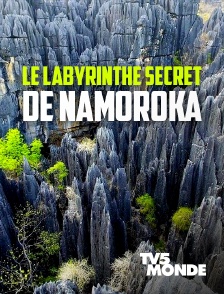 TV5MONDE - Namoroka