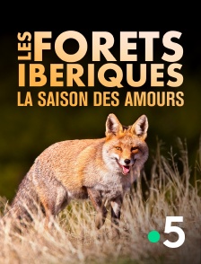 France 5 - Les forêts ibériques