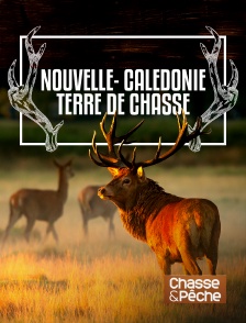 Chasse et pêche - Nouvelle-Calédonie terre de chasse