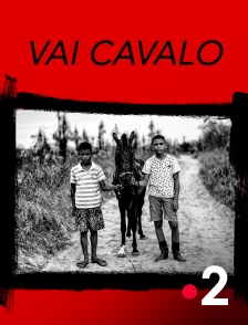 France 2 - Vai Cavalo