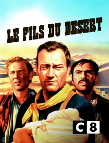 C8 - Le fils du désert