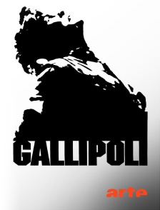 Arte - Gallipoli