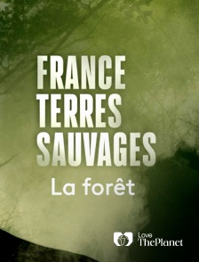 Love the Planet - France Terre Sauvage : La Forêt