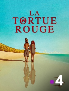 France 4 - La tortue rouge