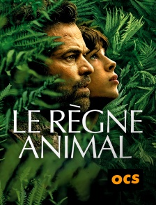 OCS - Le Règne animal