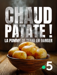 France 5 - Chaud patate ! La pomme de terre en danger