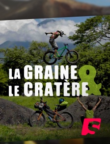 Spicee - La Graine et le Cratère