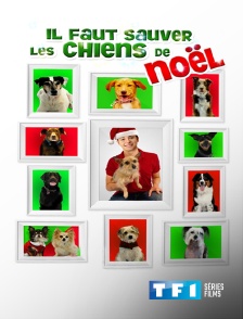 TF1 Séries Films - Il faut sauver les chiens de Noël