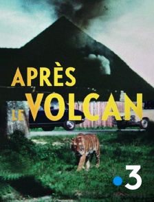 France 3 - Après le volcan