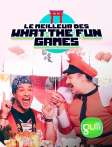 Gulli - Le meilleur des What the Fun games