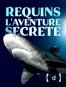 France TV Docs - Requins, l'aventure secrète