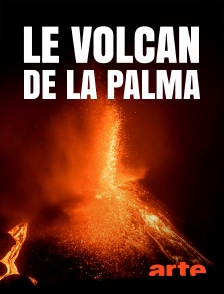 Arte - Le volcan de La Palma : la vie après l'éruption