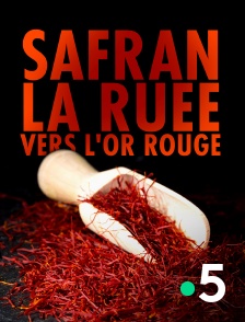 France 5 - Safran, la ruée vers l'or rouge