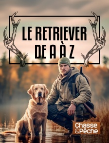 Chasse et pêche - Le retriever de A à Z