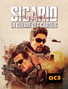 OCS - Sicario : la guerre des cartels