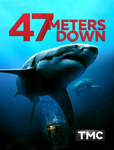 TMC - 47 Meters Down