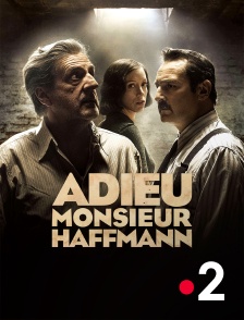 France 2 - Adieu Monsieur Haffmann