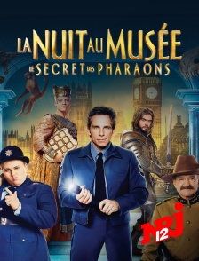 NRJ 12 - La nuit au musée : le secret des pharaons