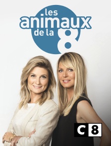 C8 - Les animaux de la 8