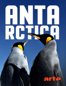 Arte - Antarctica