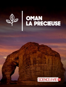 Science et Vie TV - Oman la précieuse