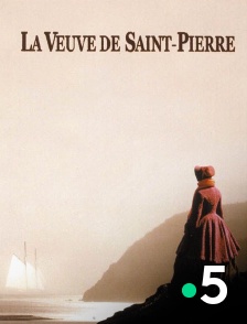 France 5 - La veuve de Saint-Pierre