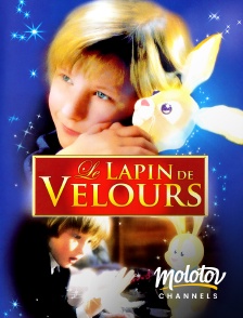 Molotov channels - Le lapin de velours