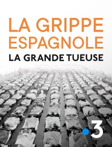 France 3 - La grippe espagnole, la grande tueuse