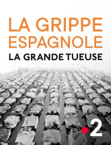 France 2 - La grippe espagnole, la grande tueuse