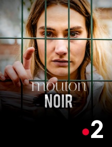 France 2 - Mouton noir