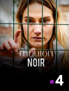 France 4 - Mouton noir