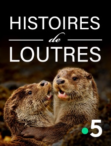 France 5 - Histoires de loutres