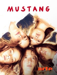 Arte - Mustang