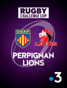 Rugby - Challenge Cup : Perpignan / Lions