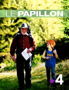 France 4 - Le papillon