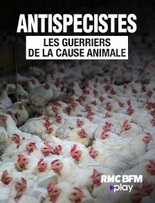 RMC BFM Play - Antispécistes, les guerriers de la cause animale