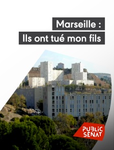 Public Sénat - Marseille : ils ont tué mon fils