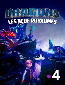 France 4 - Dragons : les neuf royaumes