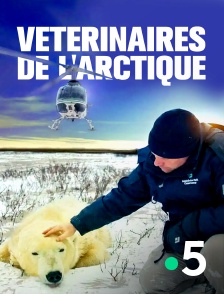 France 5 - Vétérinaires de l'Arctique